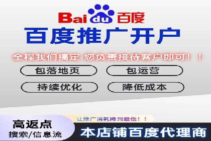 案例分析：百度推广成功案例解析